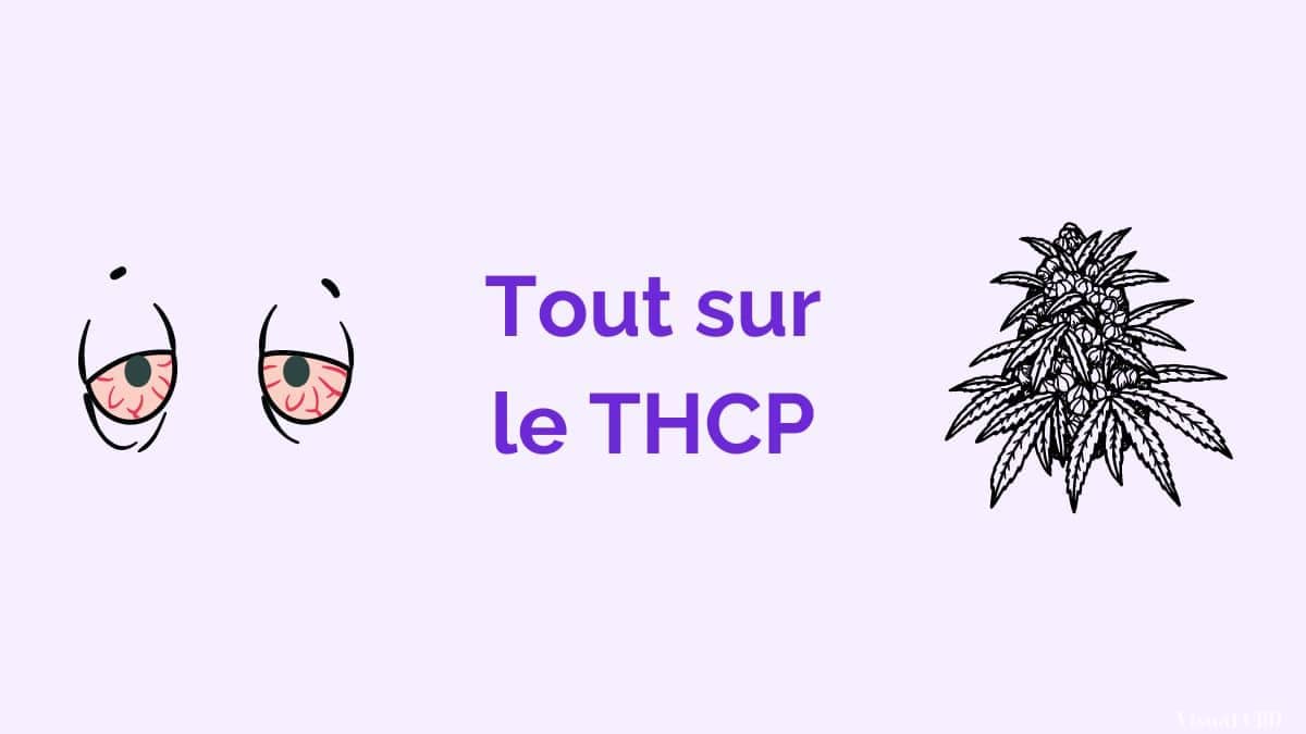 Qu Est Ce Que Le Thcp Puissance Effets Et L Gislation Expliqu S