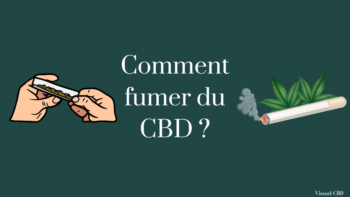 CBD et chat : bienfaits et utilisation. Blog Authentique-CBD