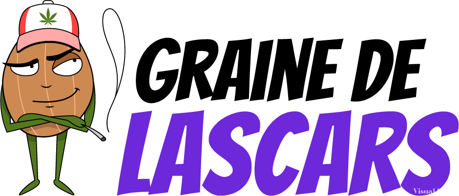 Logo Graine de Lascars